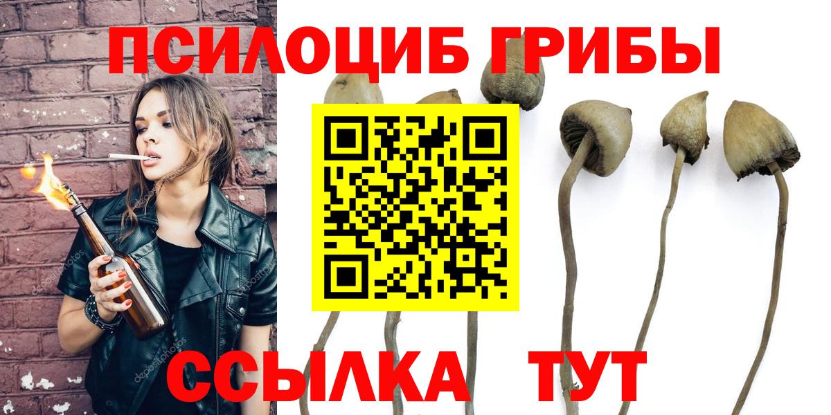 Псилоцибиновые грибы Magic Shrooms Нальчик