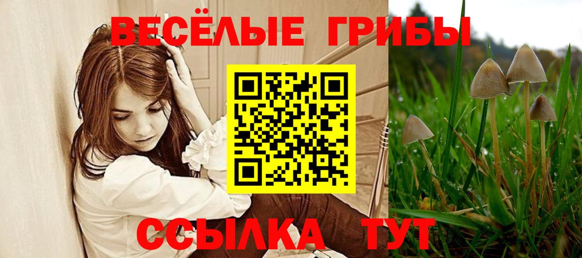 Нальчик  купить наркотик  Вход с VPN  Псилоцибиновые грибы MAGIC MUSHROOMS 